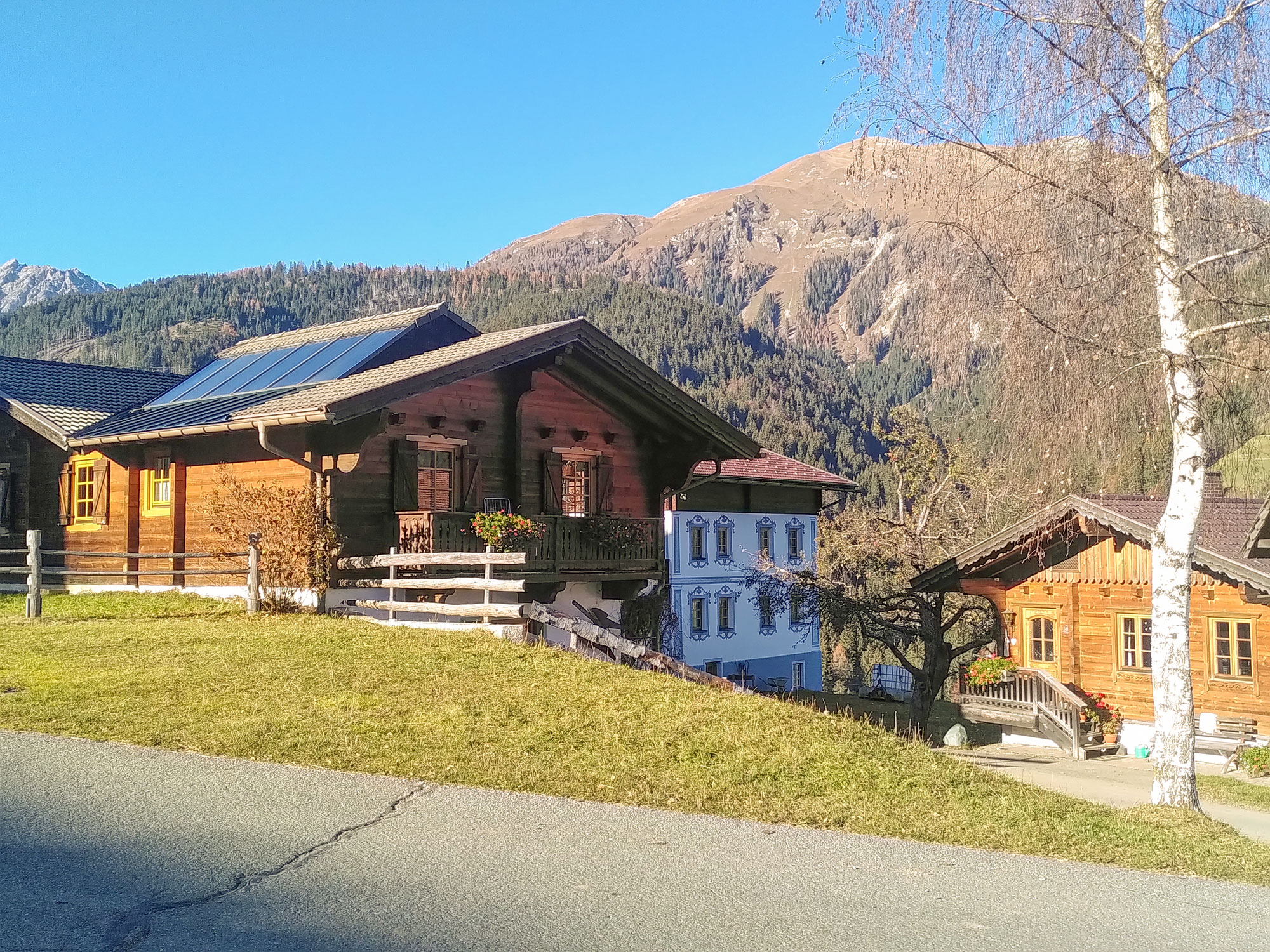 The log house with the holiday apartments, the Carnic Alps behind