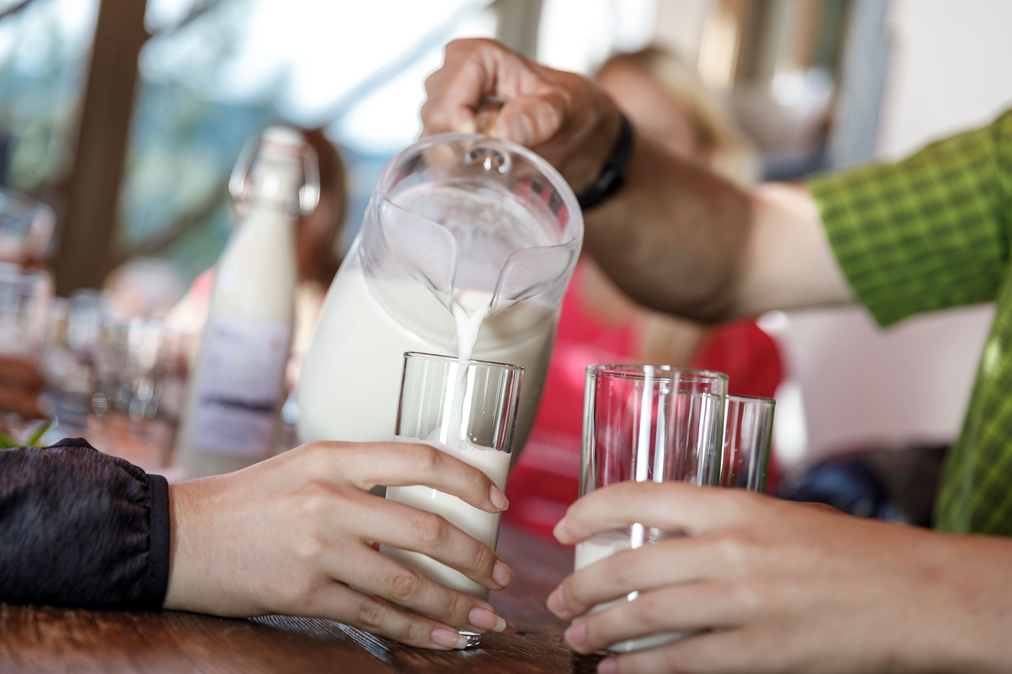 Latte biologico di prato appena versato