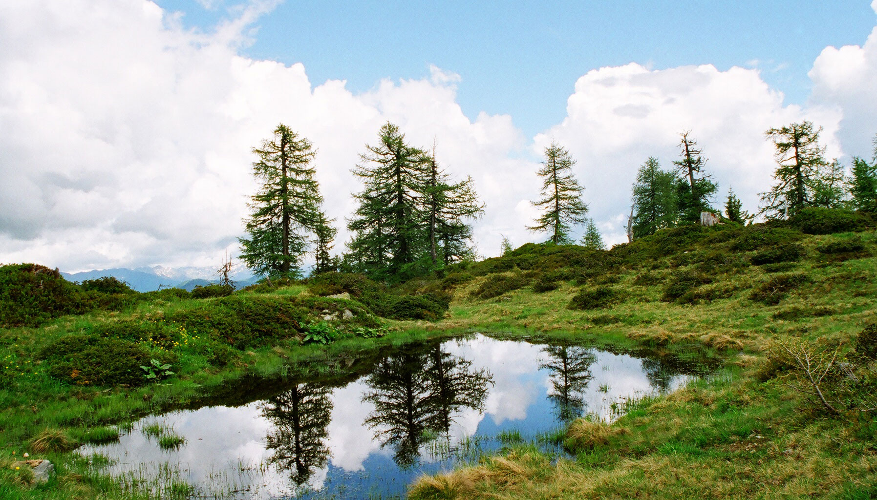 Hiking in the surroundings of the Ederhias